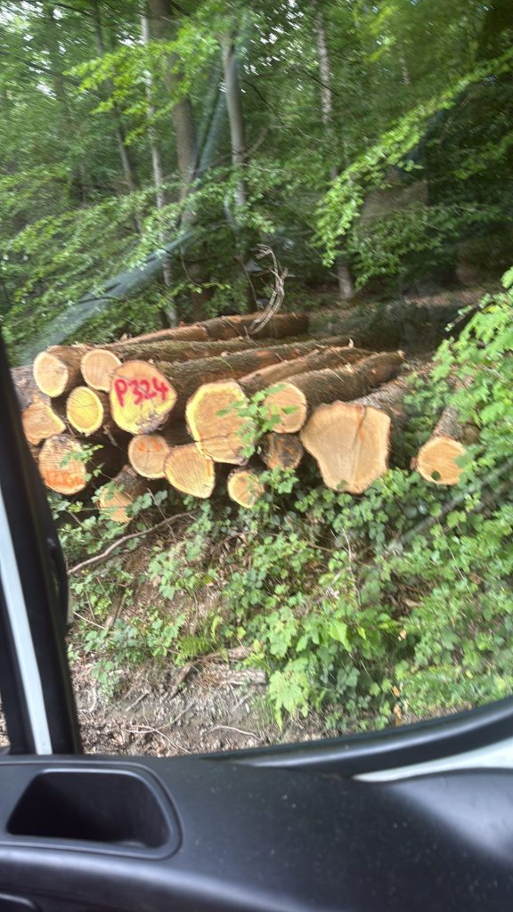 braune Holzstämme auf der grünen Wiese tagsüber