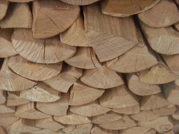 braune Holzstämme auf der grünen Wiese tagsüber