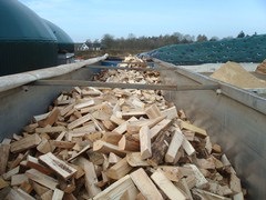 braune Holzstämme auf der grünen Wiese tagsüber