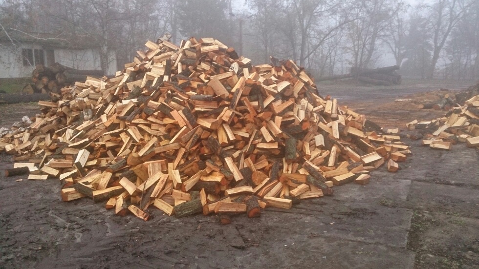 braune Holzstämme auf der grünen Wiese tagsüber