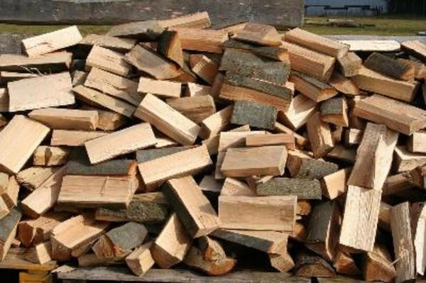 braune Holzstämme auf der grünen Wiese tagsüber