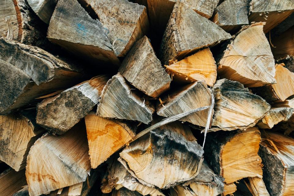 braune Holzstämme auf grauem Sand