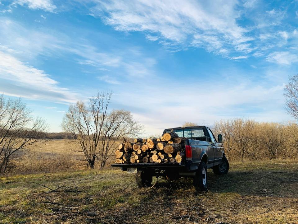 schwarzer Pickup-Truck mit Einzelkabine und braunen Holzscheiten