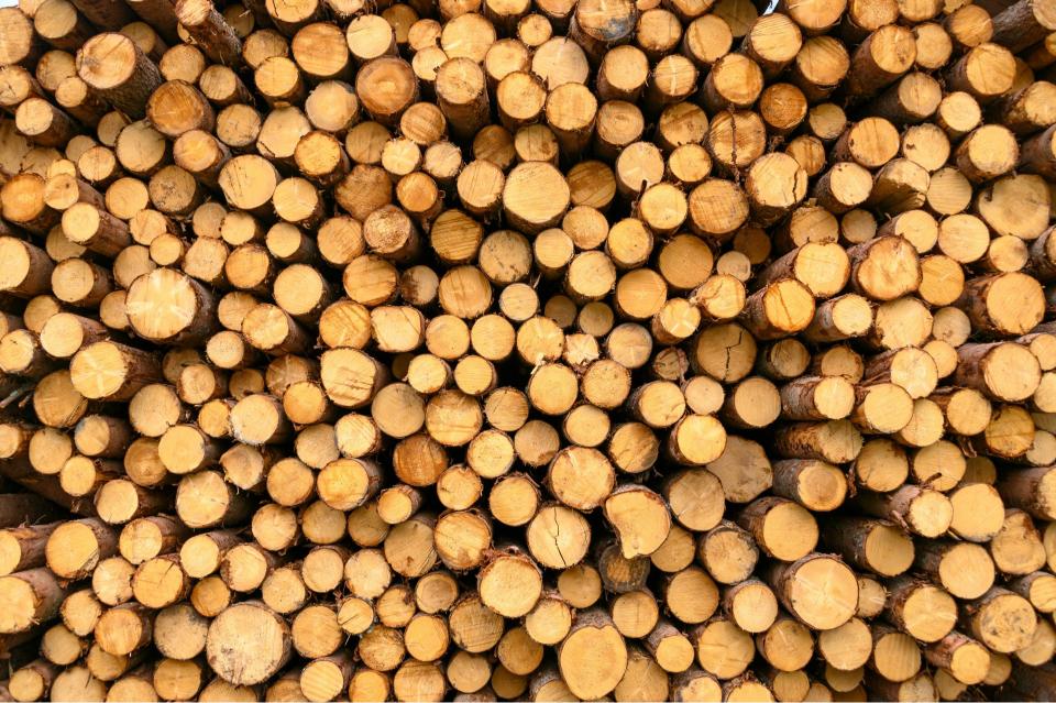 Stapel brauner Holzscheite
