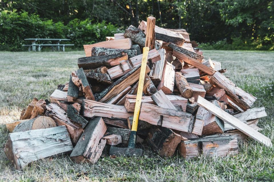 braune Holzstämme auf der grünen Wiese tagsüber